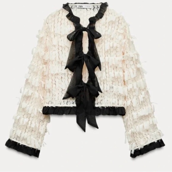 Zara Tops - NWT Zara Ivory Ruffle-Trim Sheer Blouse